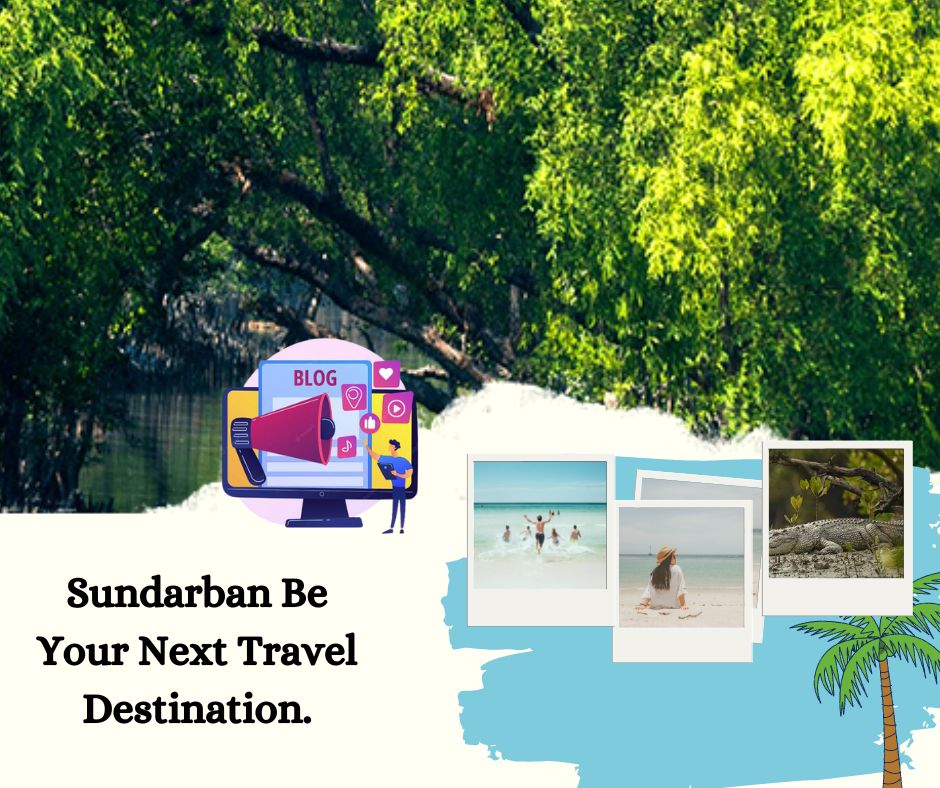 Why Should Sundarban Be Your Next Travel Destination
