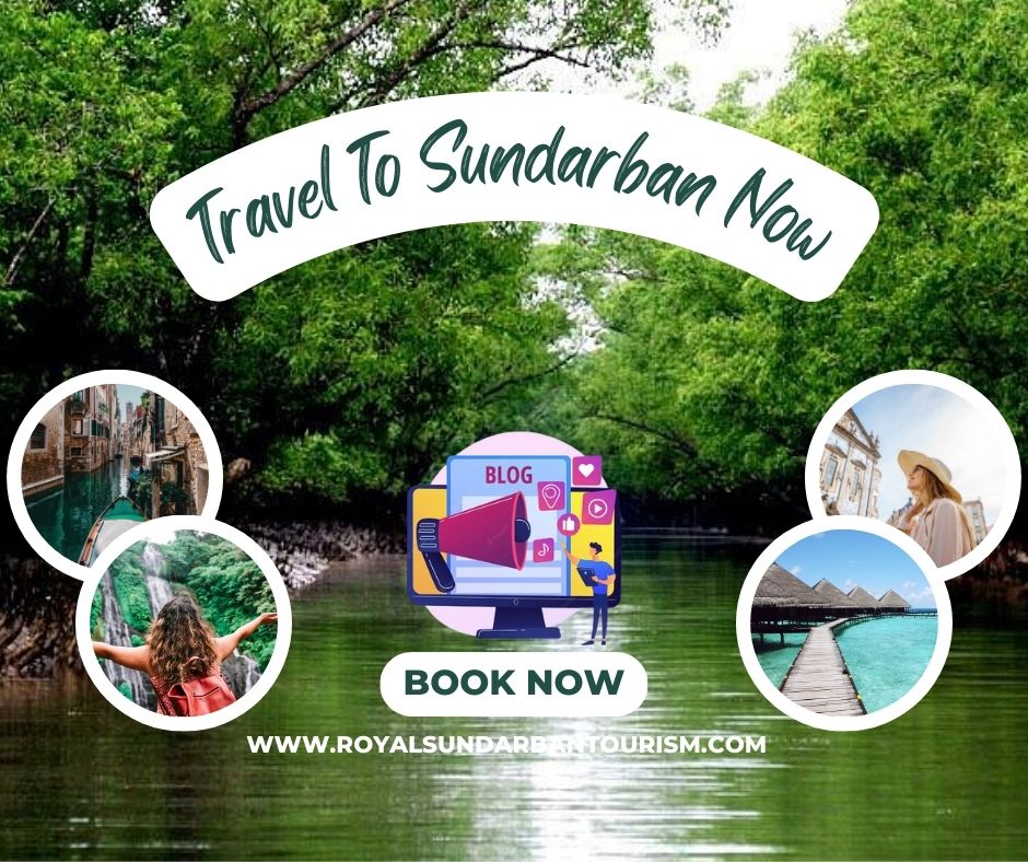 travel To Sundarban Now