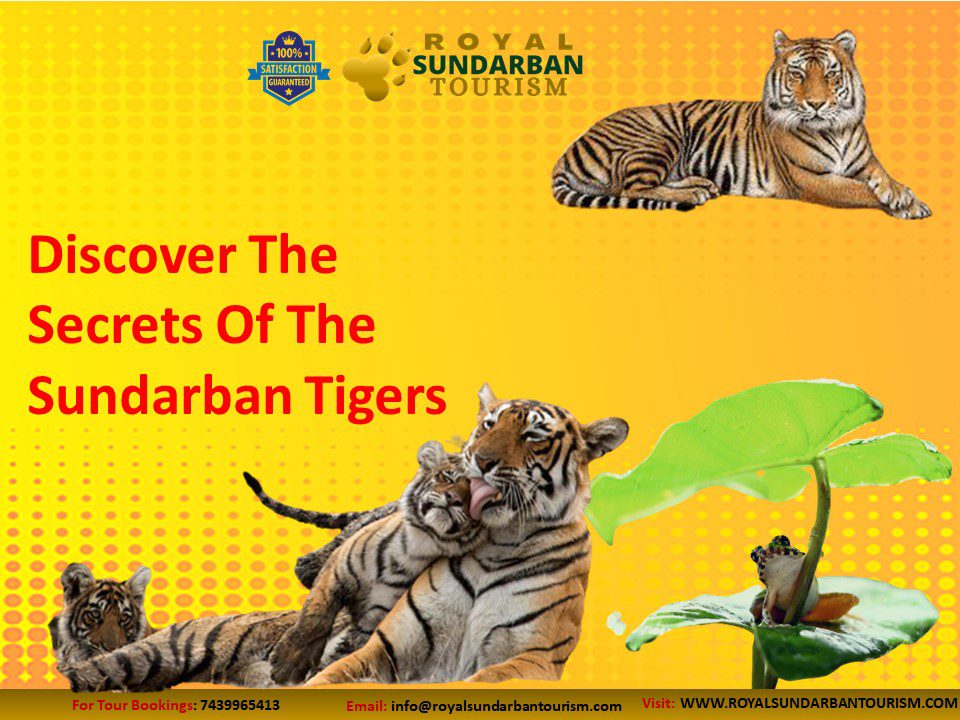 Secrets Of The Sundarban Tigers