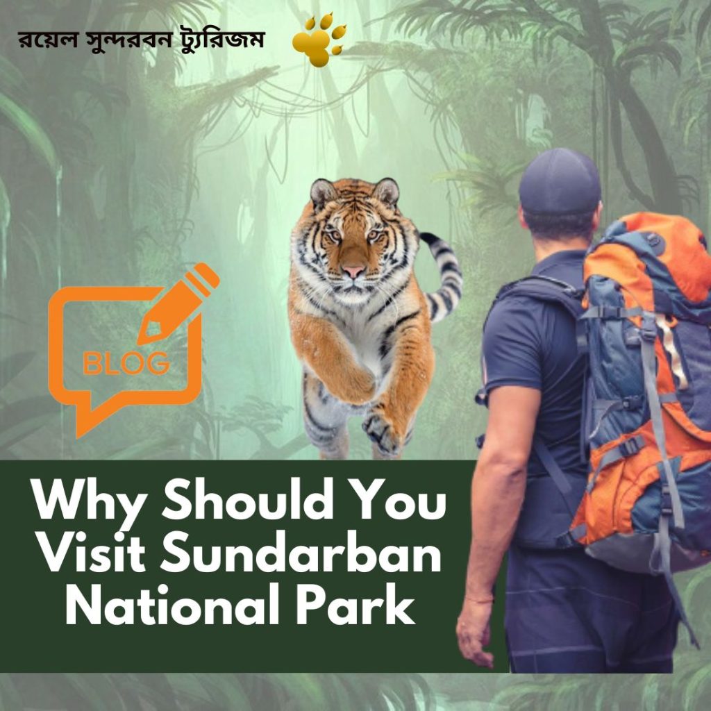 Why Should You Visit Sundarban National Park