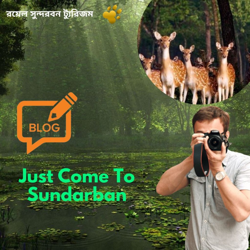 Just Come To Sundarban