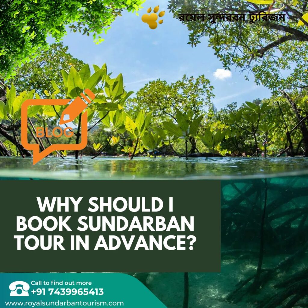 Why should I book sundarban Tour in Advance?