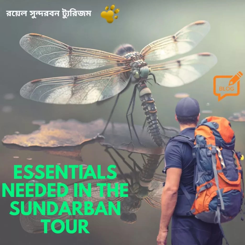 What are the essentials needed in The Sundarban tour