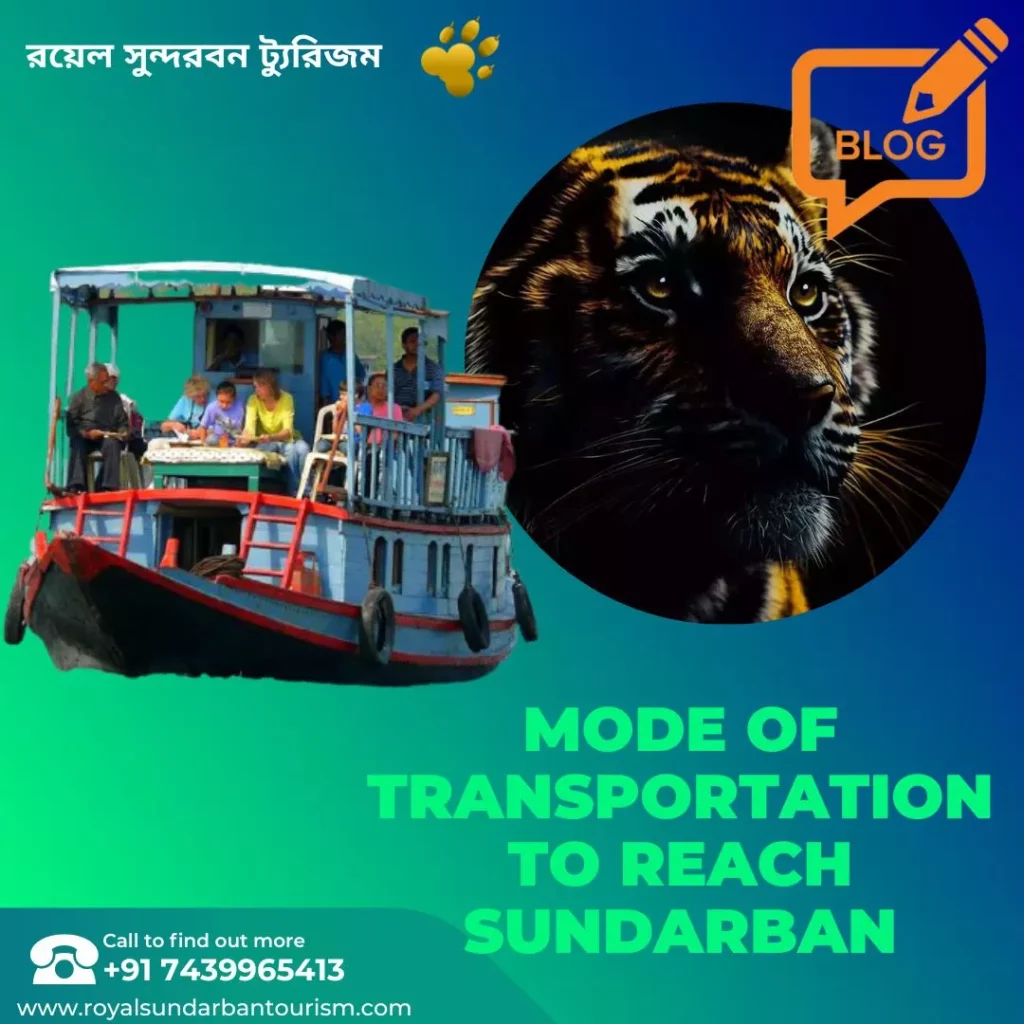 What could be the mode of transportation to reach Sundarban