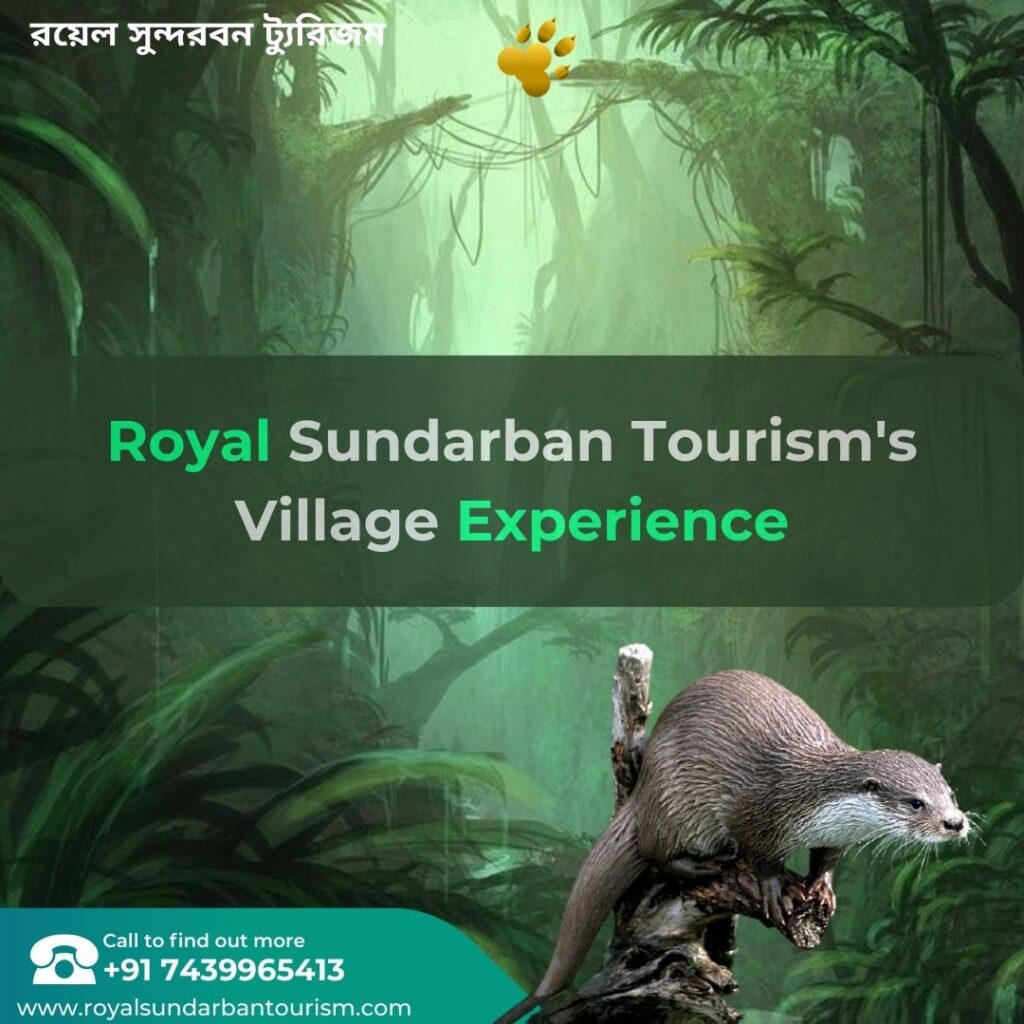 Cultural Immersion in the Sundarbans: Royal Sundarban Tourism’s Village Experience