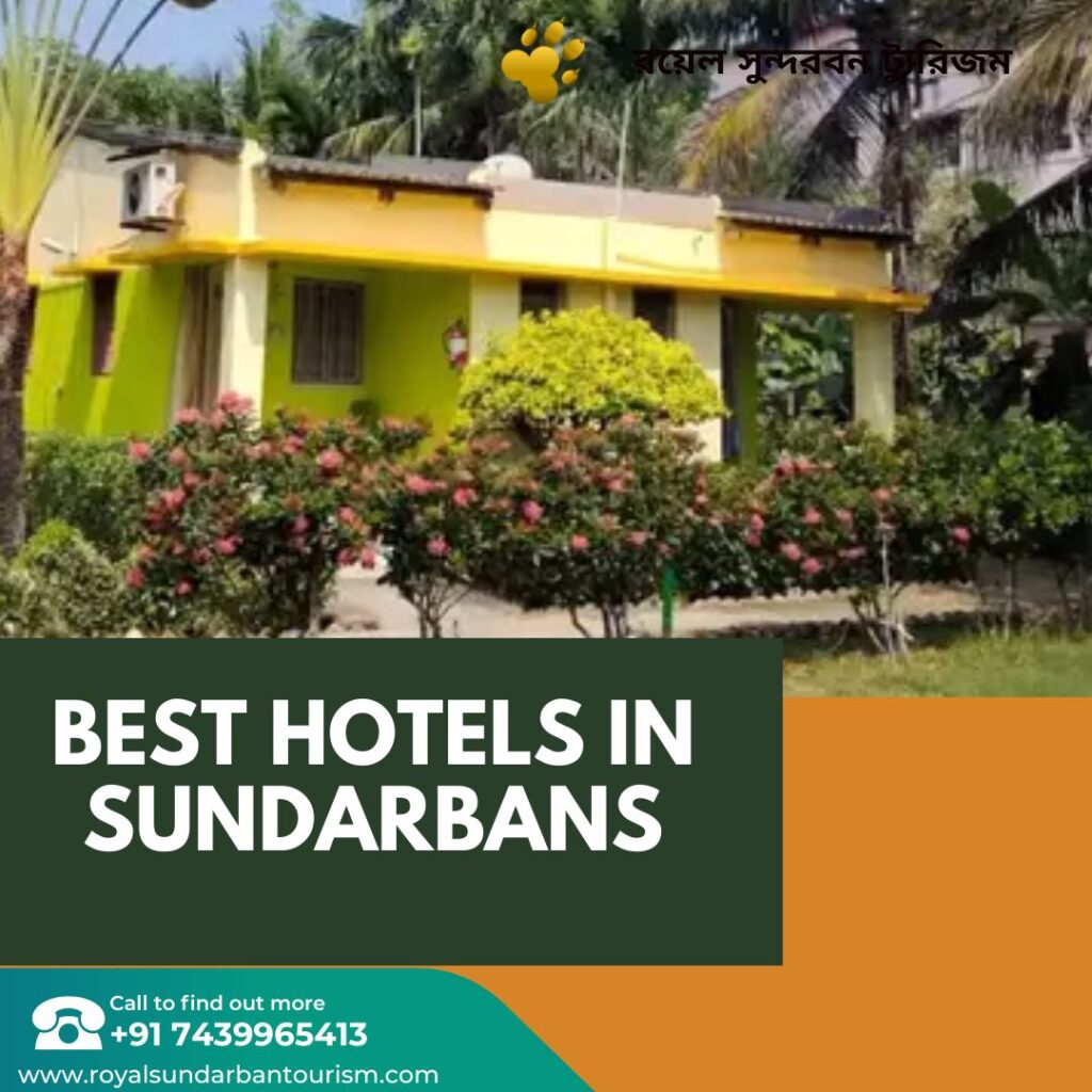 Best Hotels in Sundarbans