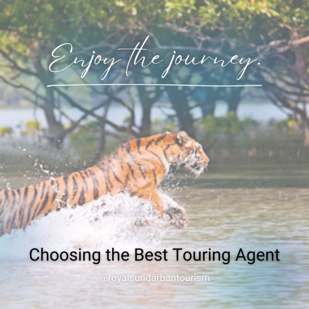 Navigating the Sundarbans: Choosing the Best Touring Agent