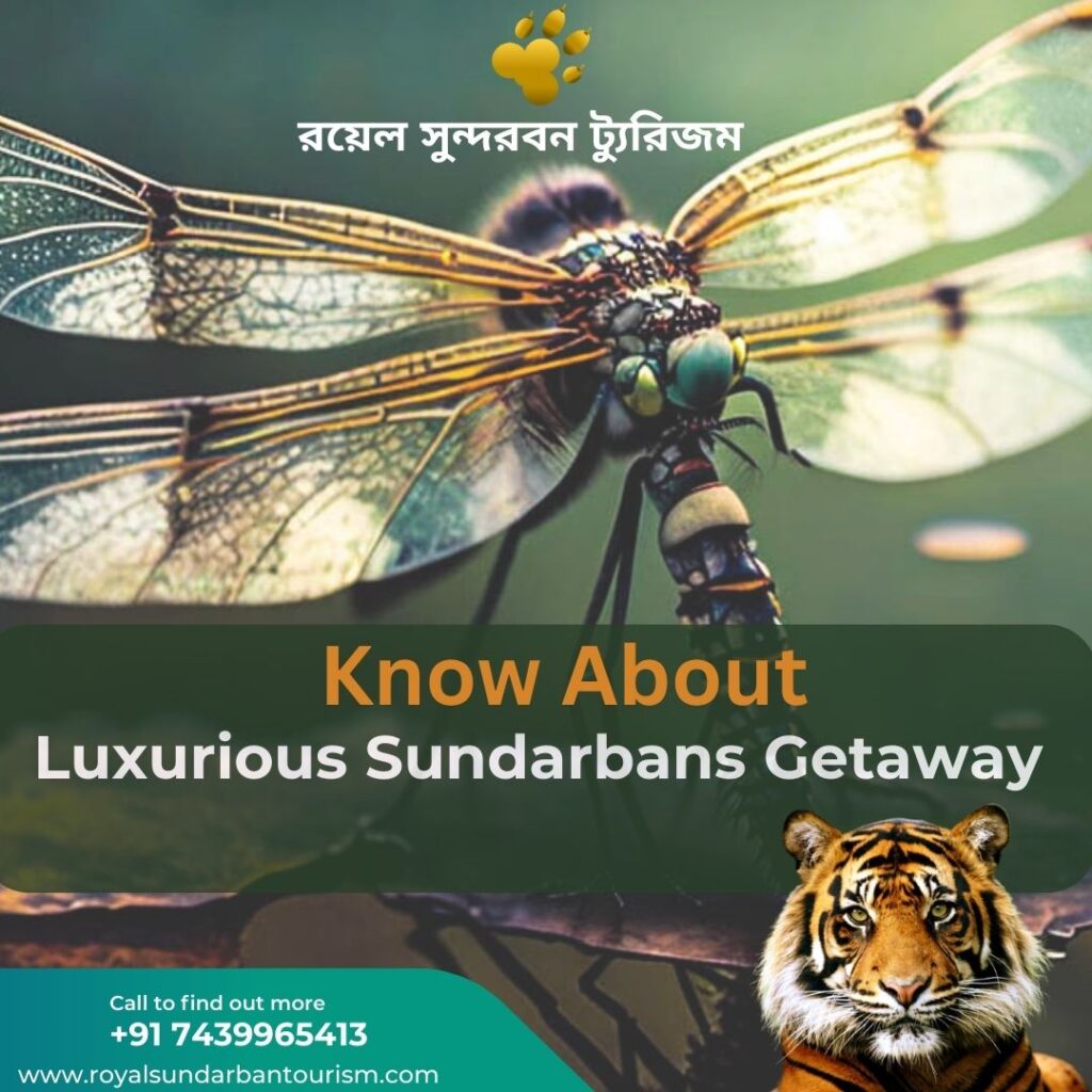 Luxurious Sundarbans Getaway: Unveiling Royal Sundarban Tourism