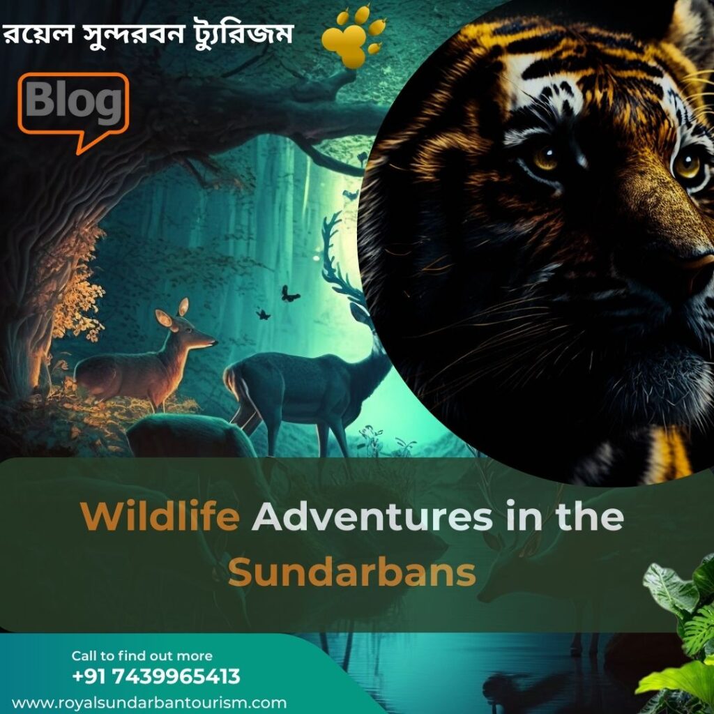 “Wildlife Adventures in the Sundarbans: Royal Sundarban Tourism Experience”