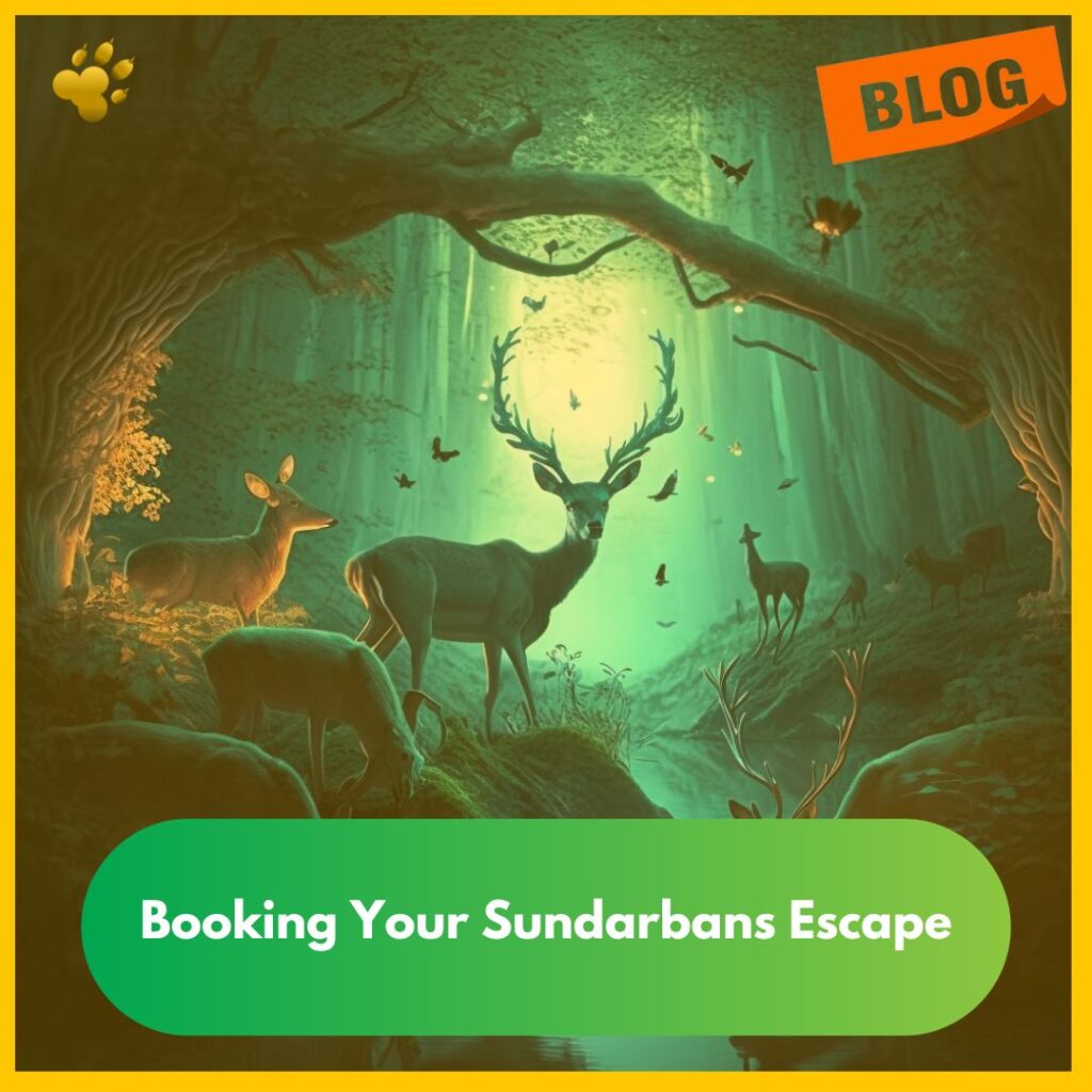 Booking Your Sundarbans Escape: How to Plan with Royal Sundarban Tourism