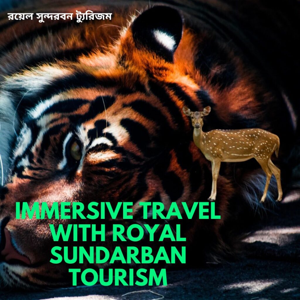 Village Vibes: Immersive Travel with Royal Sundarban Tourism