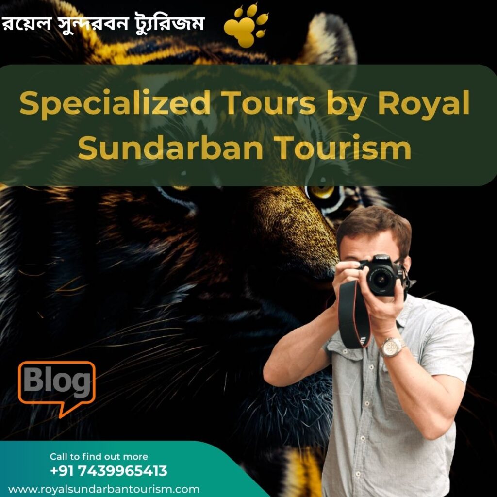 Birding Bliss: Specialized Tours by Royal Sundarban Tourism