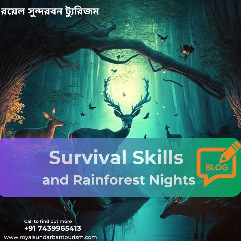 Survival Skills and Rainforest Nights: A Unique Sundarban Experience