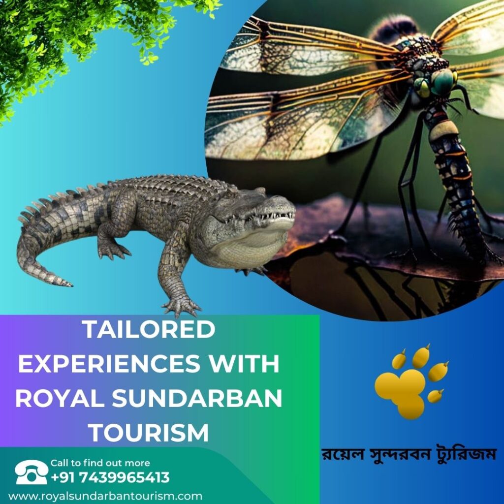 Bespoke Sundarban: Tailored Experiences with Royal Sundarban Tourism