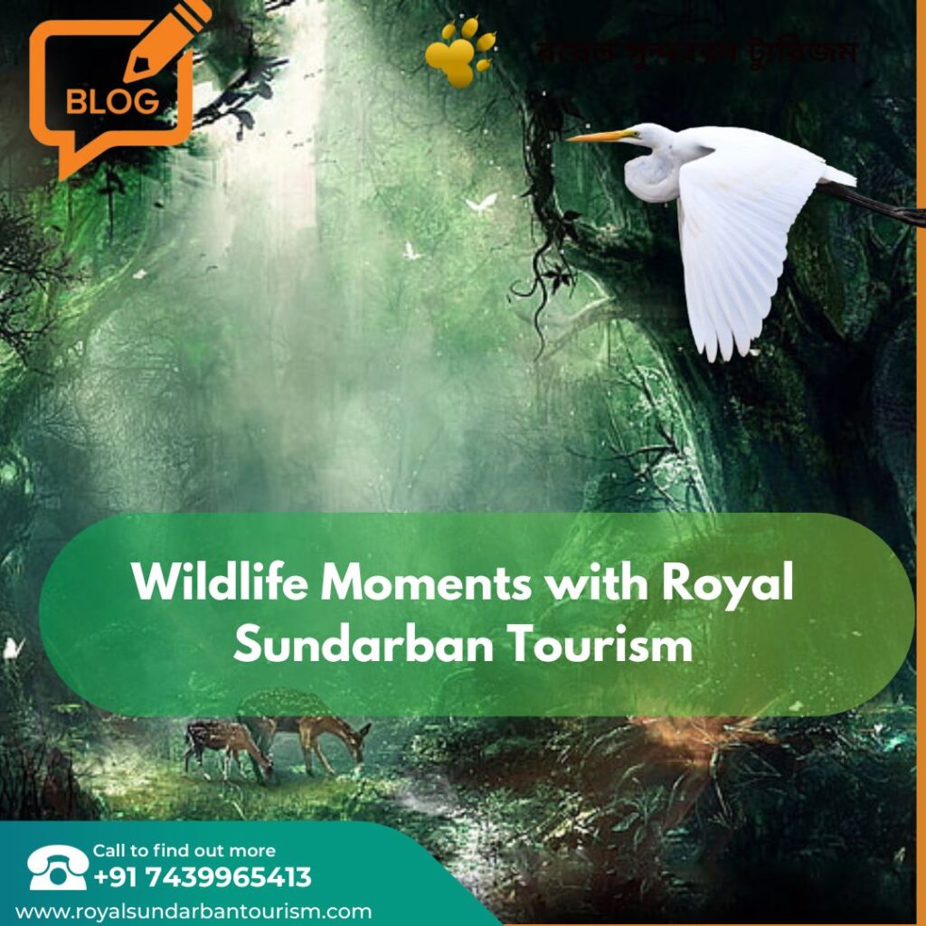 Photographer’s Paradise: Immortalizing Wildlife Moments with Royal Sundarban Tourism