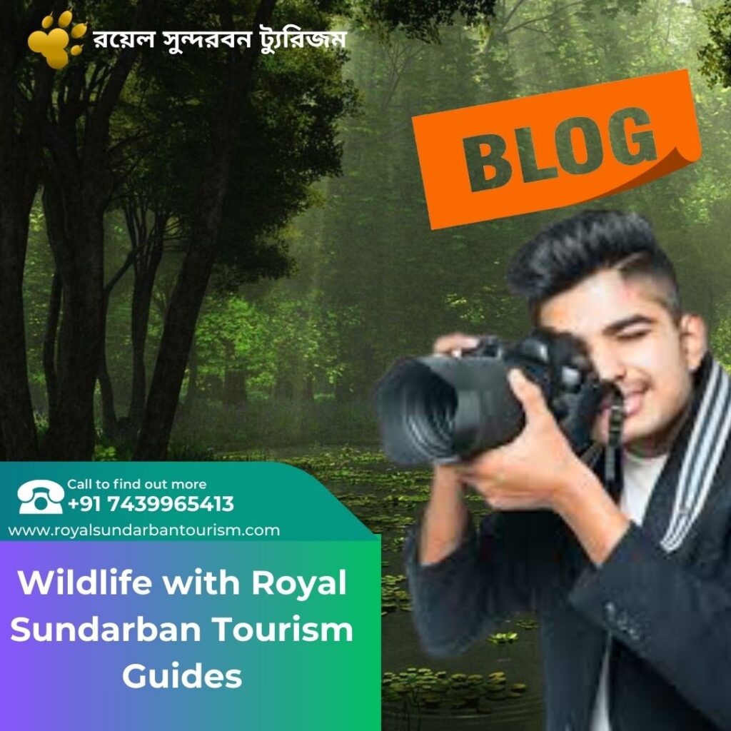 Tiger Tales: Tracking Wildlife with Royal Sundarban Tourism Guides