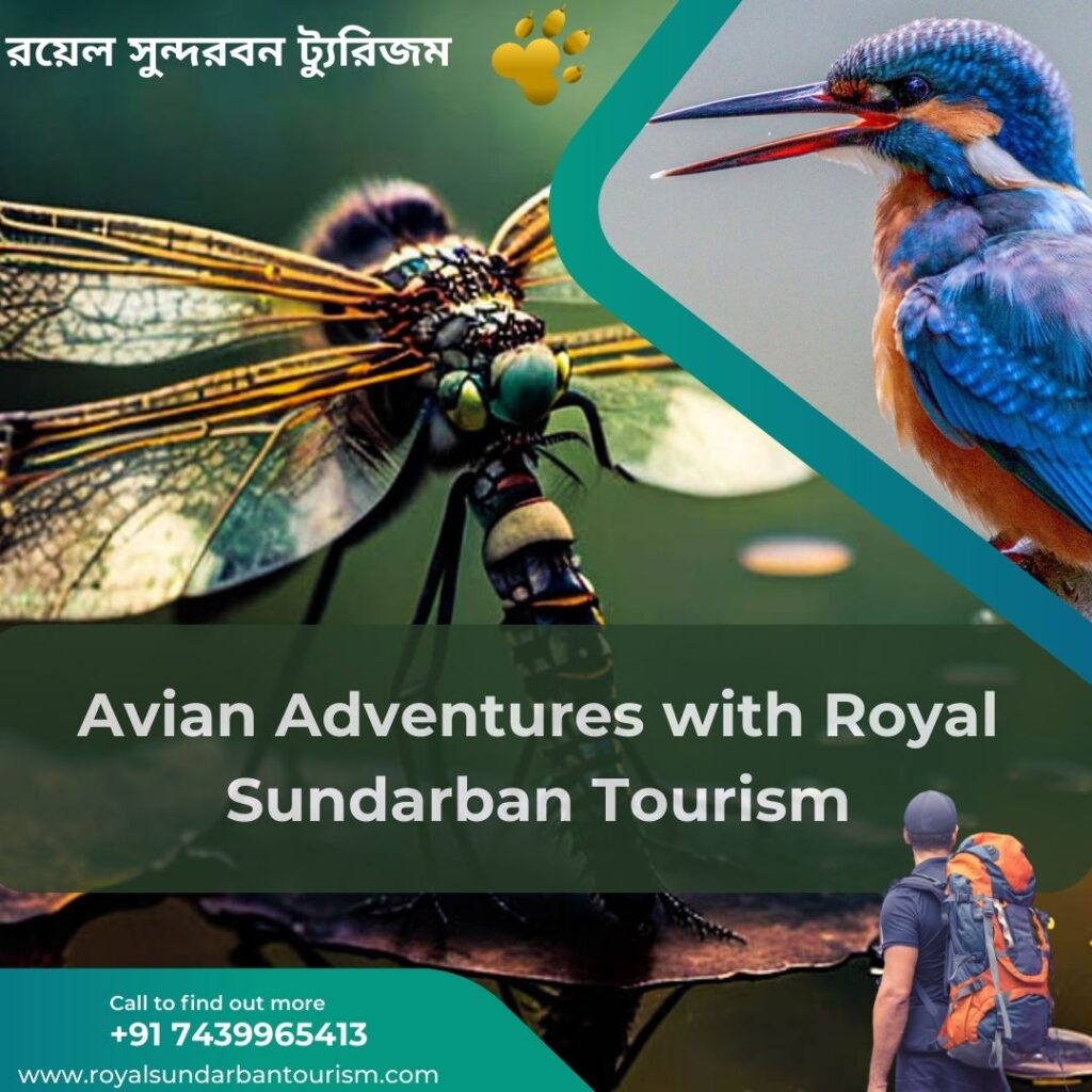 Birdwatcher’s Bliss: Avian Adventures with Royal Sundarban Tourism