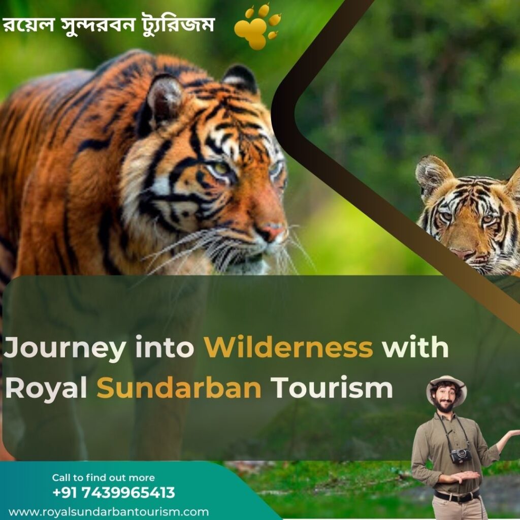 Sundarban Sojourn: A Journey into Wilderness with Royal Sundarban Tourism