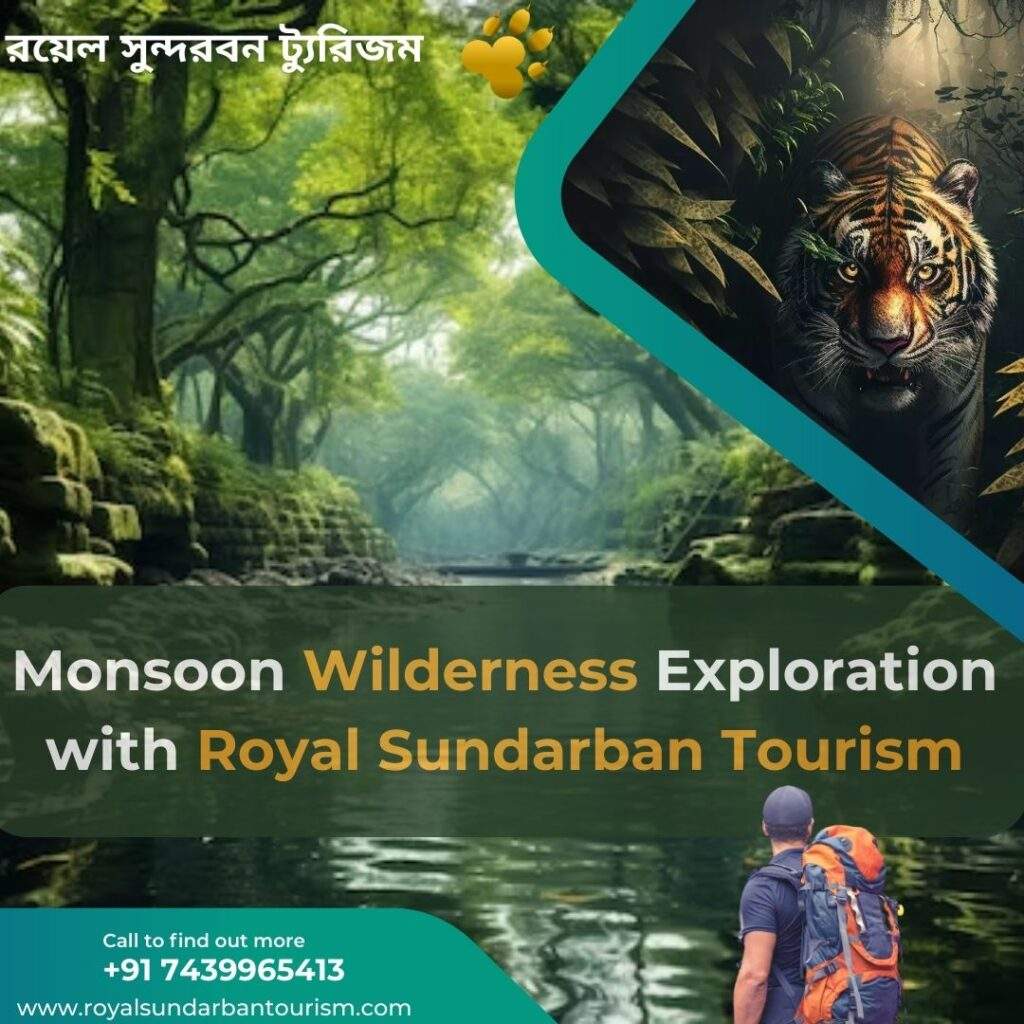 Monsoon Magic: Monsoon Wilderness Exploration with Royal Sundarban Tourism