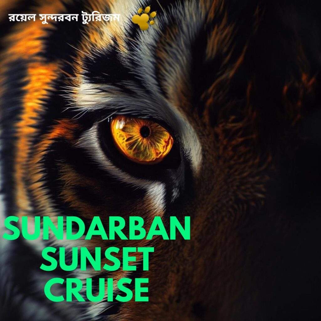 Sundarban Sunset Cruise