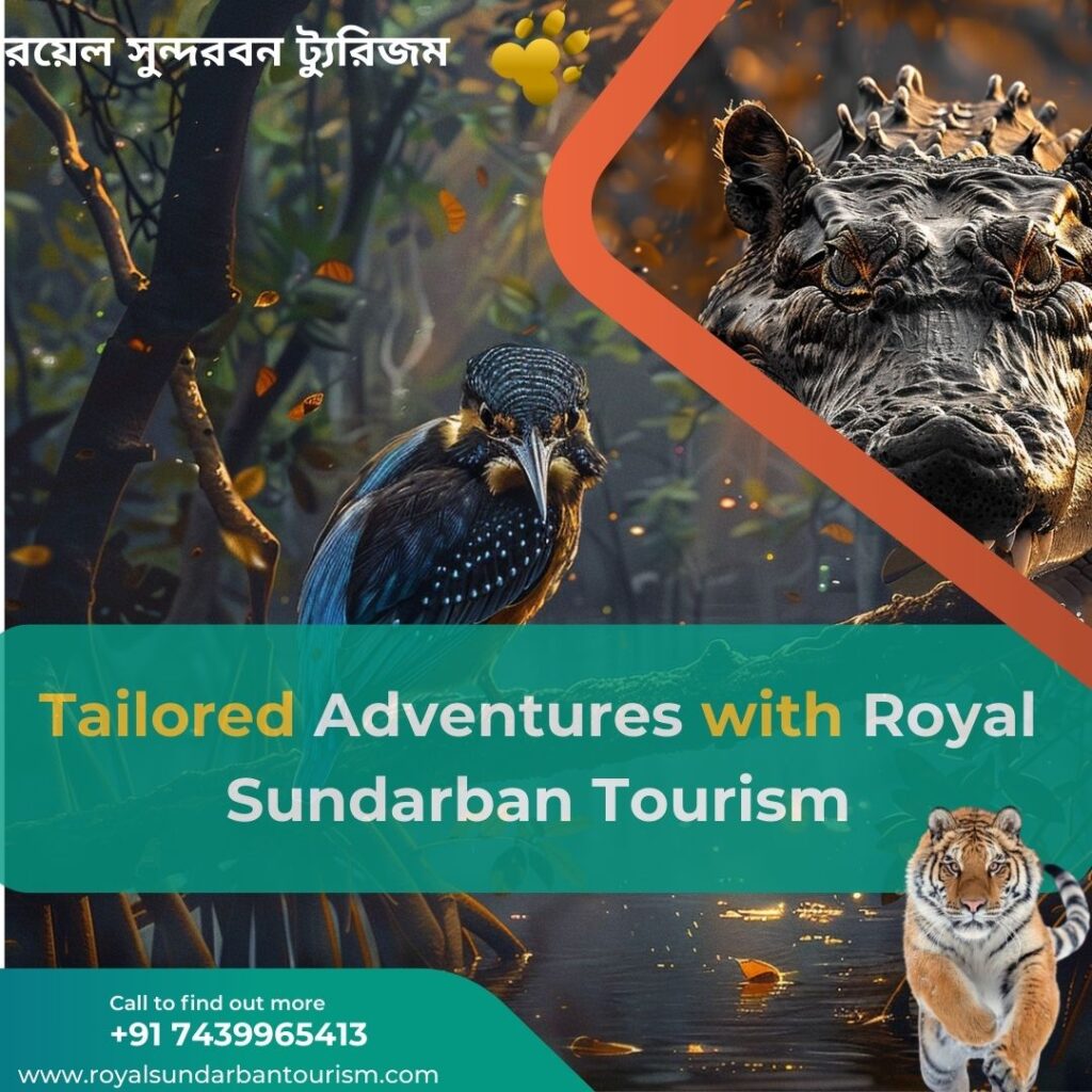 Family Fun in Sundarban: Tailored Adventures with Royal Sundarban Tourism