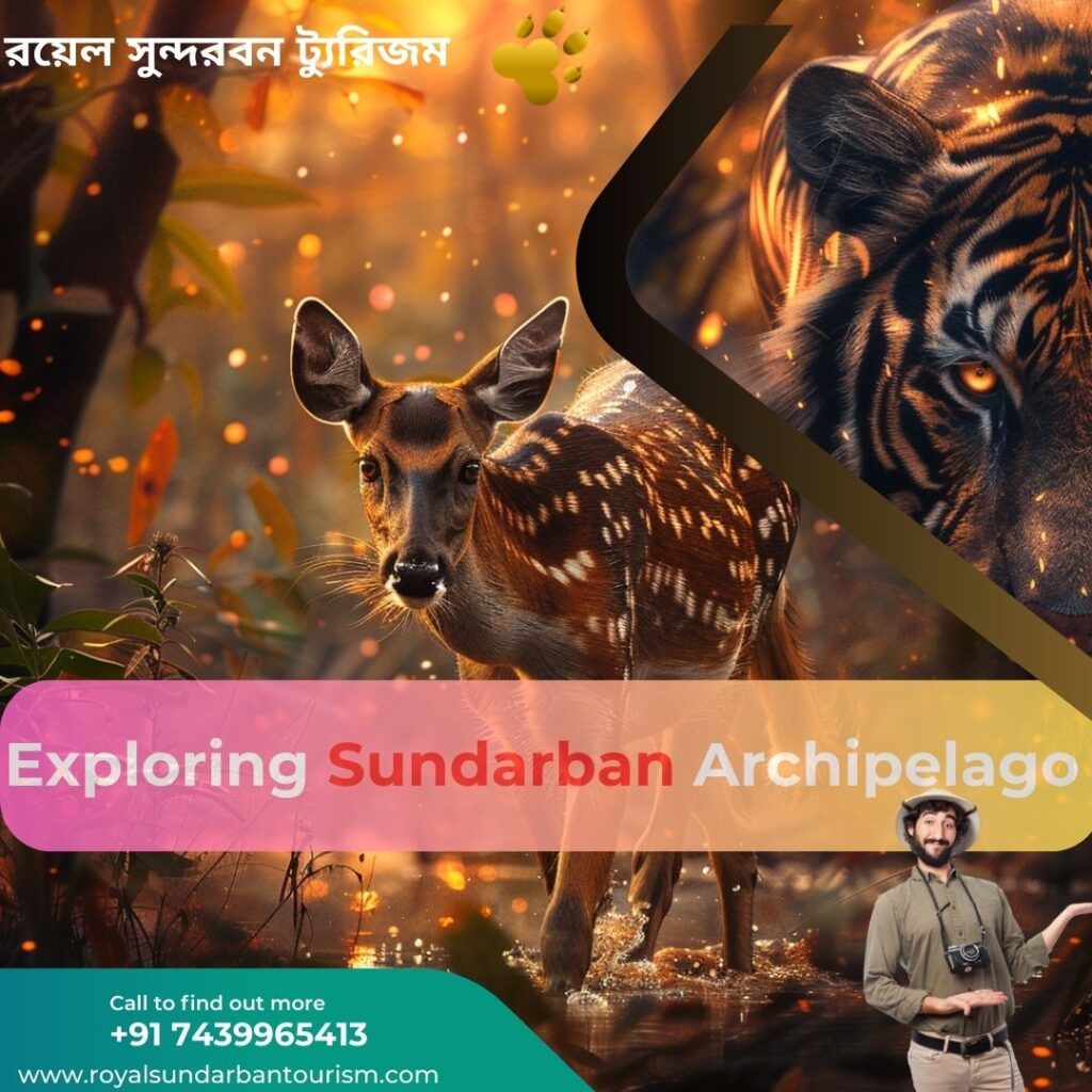 Island Escapade: Exploring Sundarban Archipelago with Royal Sundarban Tourism