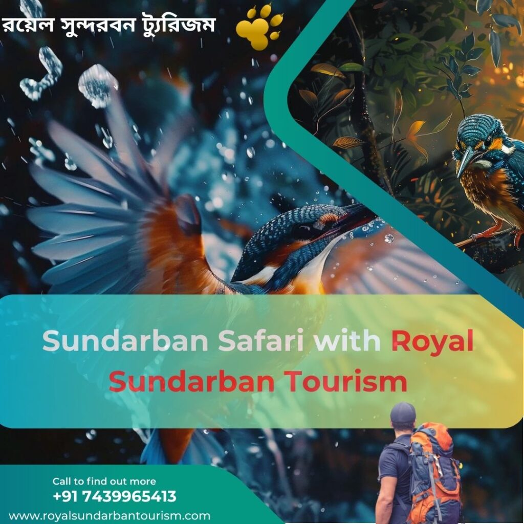 Sundarban Safari with Royal Sundarban Tourism