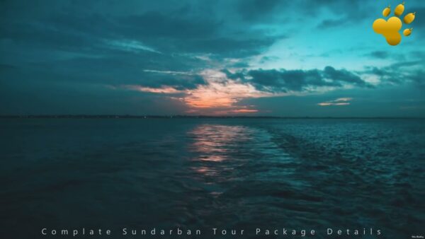 Sundarban Tourism