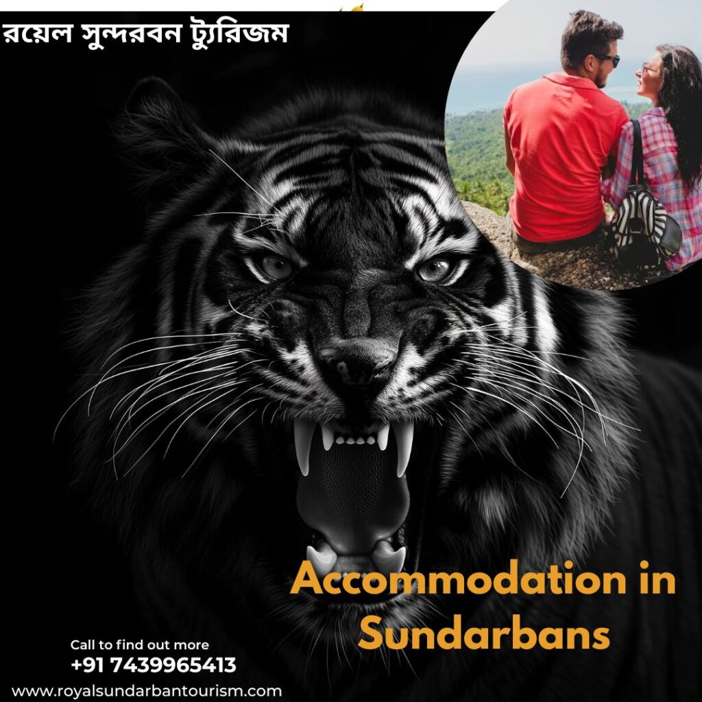 Discovering the Best Accommodations in Sundarbans with Rayal Sundarban Tourism