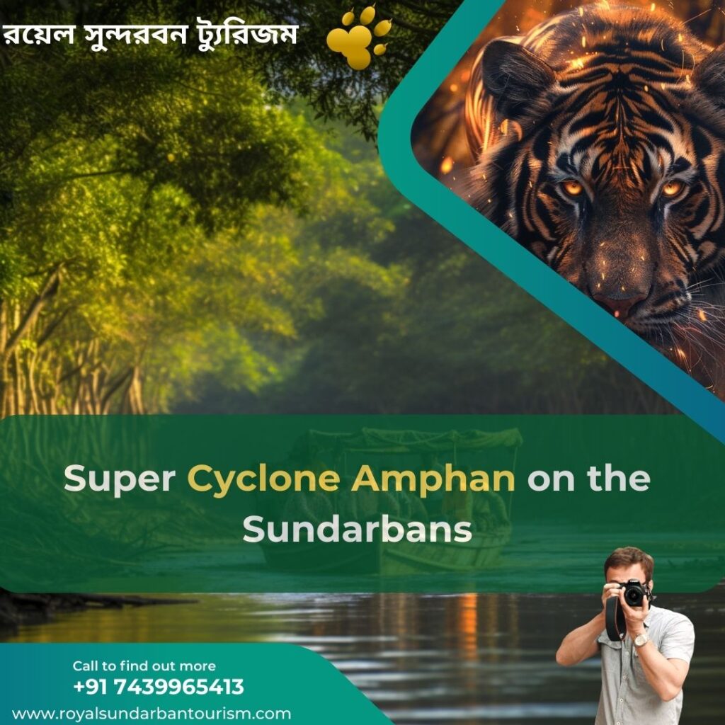 The Impact of Super Cyclone Amphan on the Sundarbans: Challenges and Opportunities for Rayal Sundarban Tourism