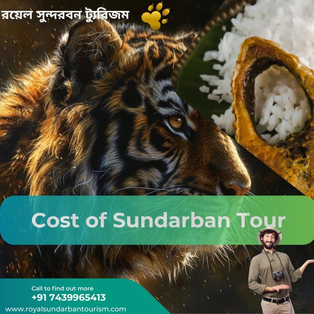 Cost of Sundarban Tour: A Comprehensive Guide