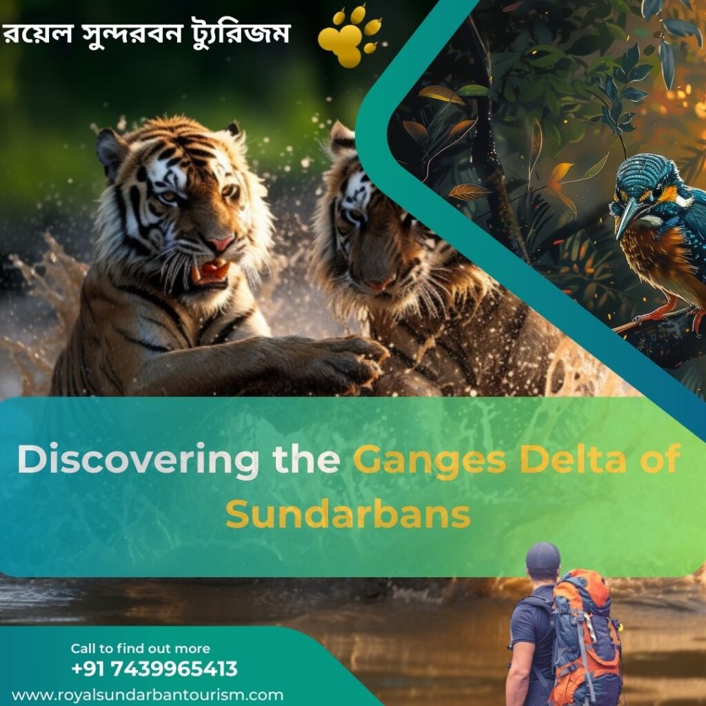 Discovering the Ganges Delta of Sundarbans in Bangladesh