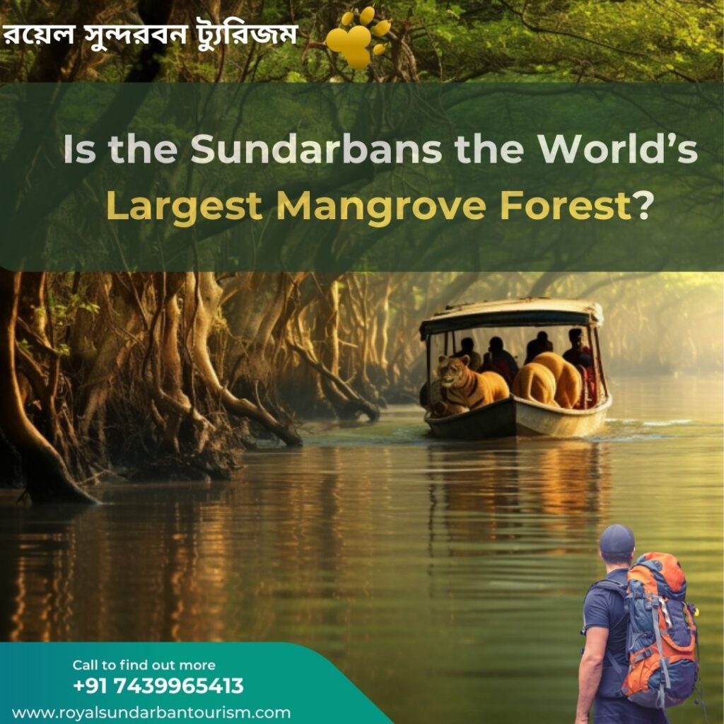 Is the Sundarbans the World’s Largest Mangrove Forest?