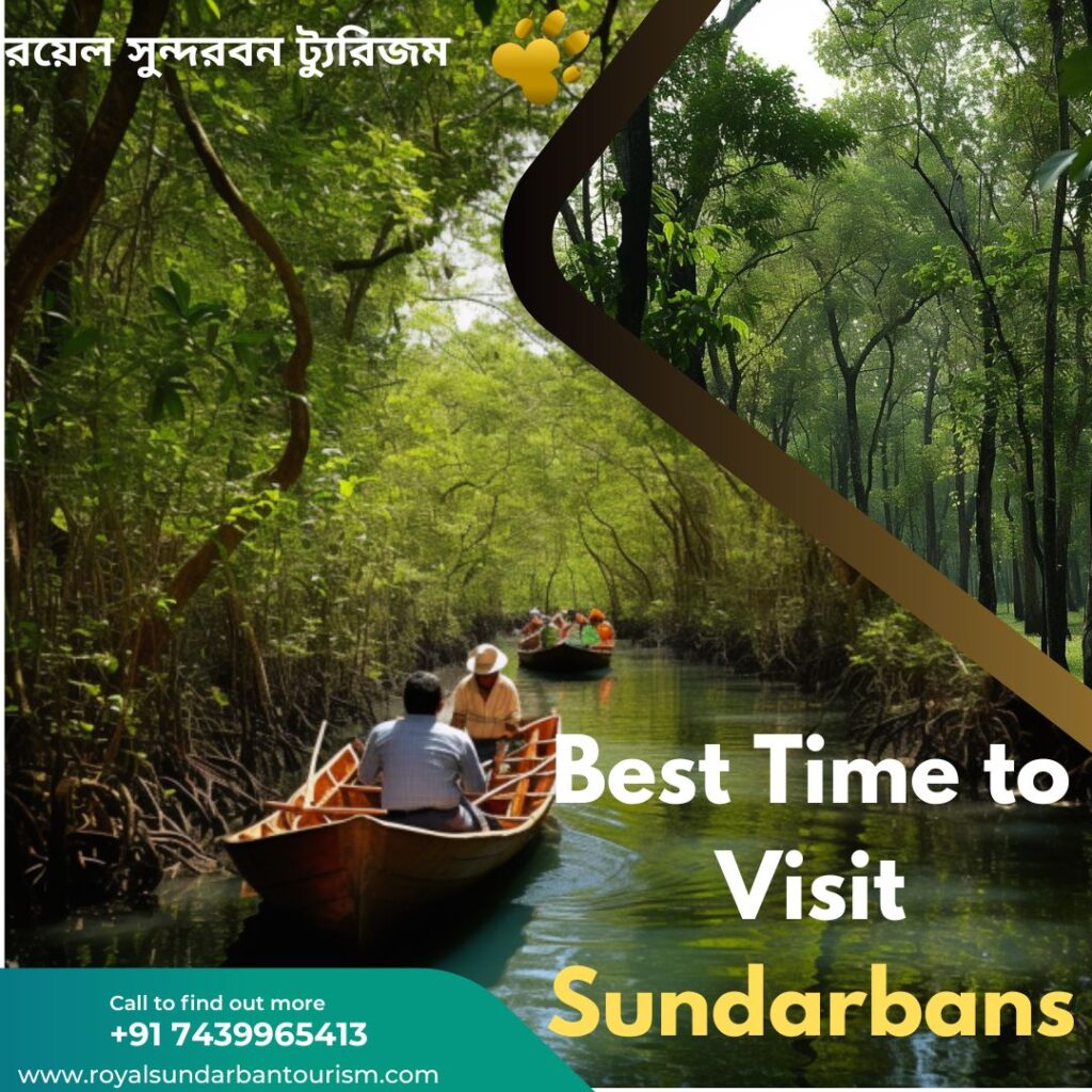 Best Time to Visit Sundarbans: A Comprehensive Guide