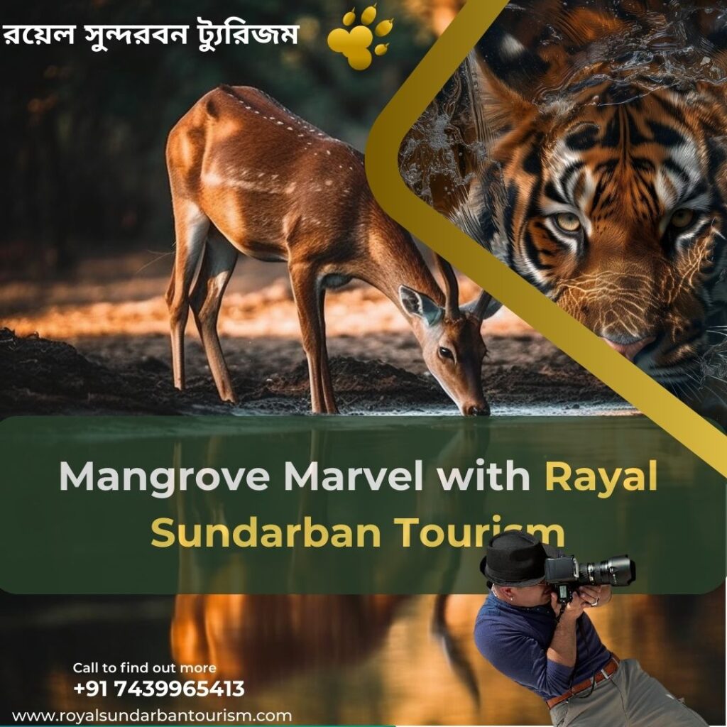 Sundarban Tour Packages: Exploring the Mangrove Marvel with Rayal Sundarban Tourism