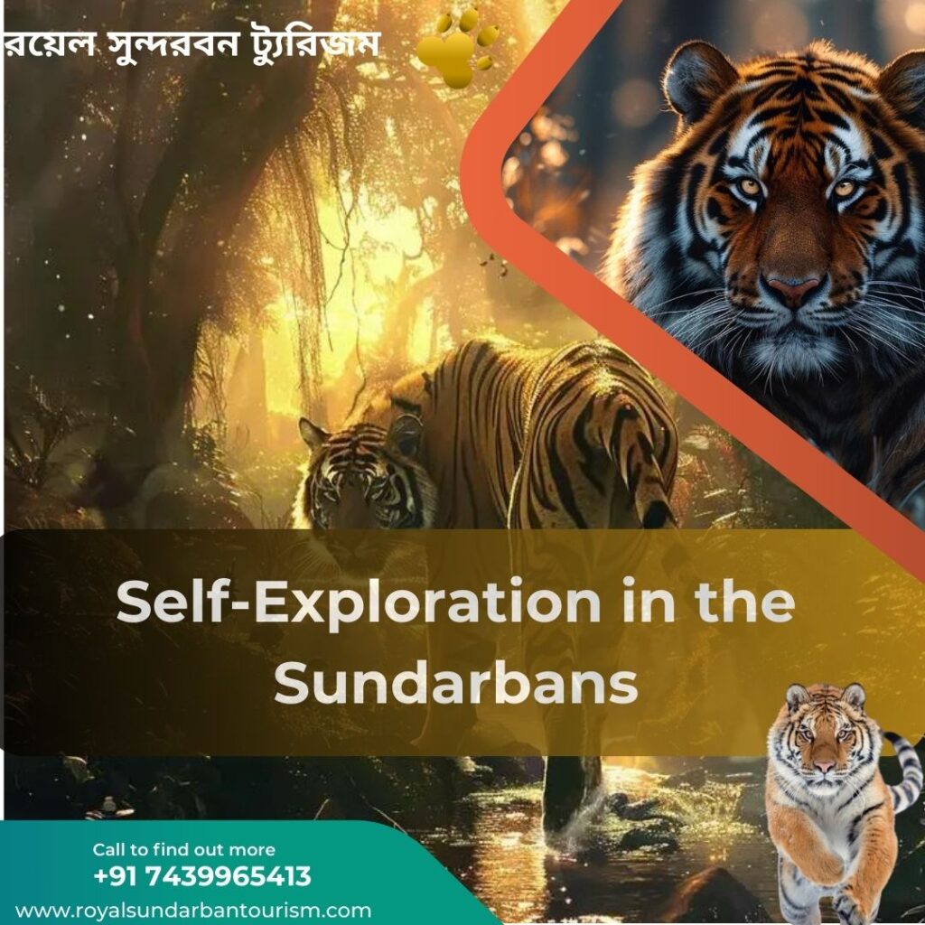 Self-Exploration in the Sundarbans