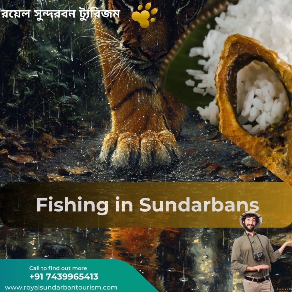 Fishing in Sundarbans: A Unique Experience in the World’s Largest Mangrove Forest