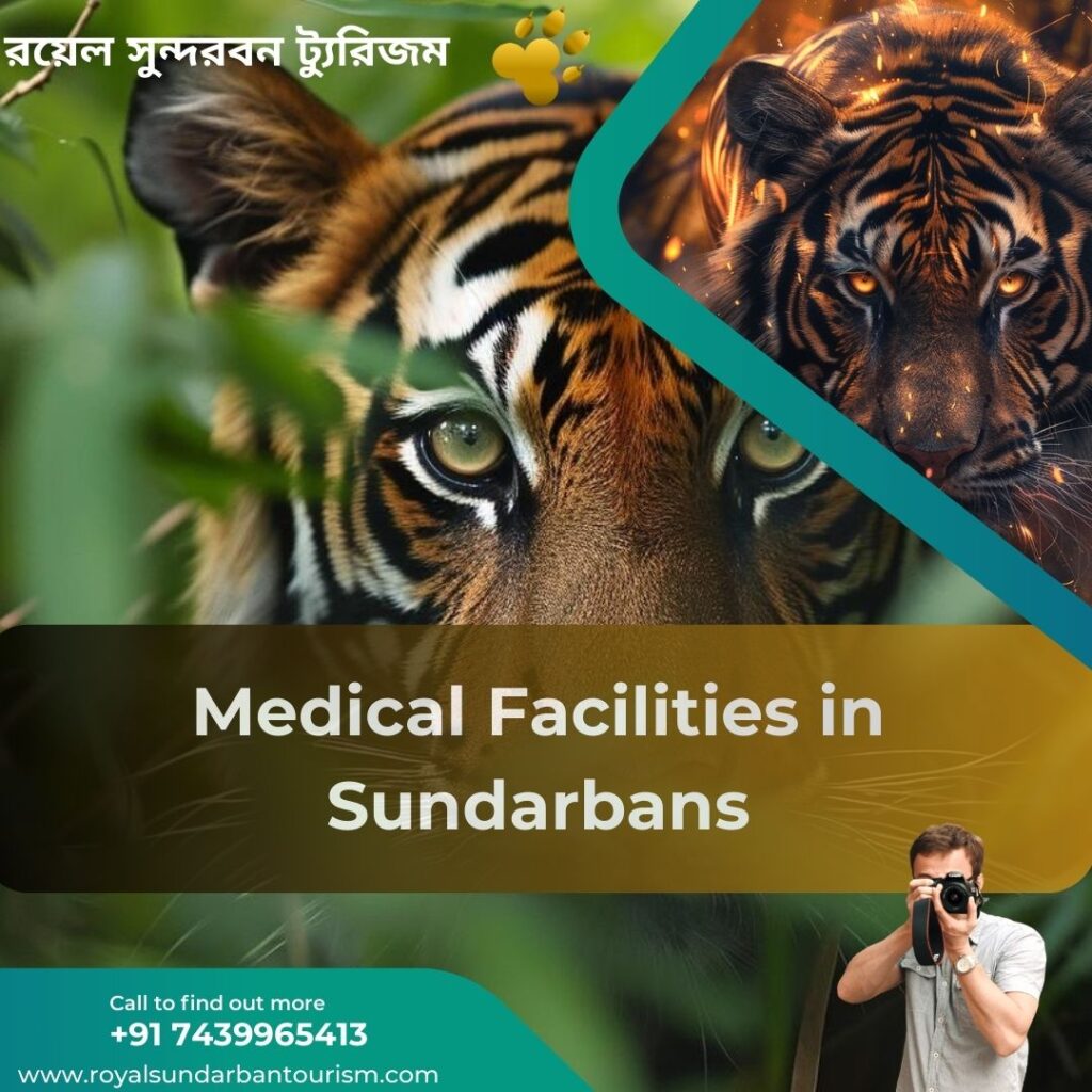 Medical Facilities in Sundarbans: A Comprehensive Guide