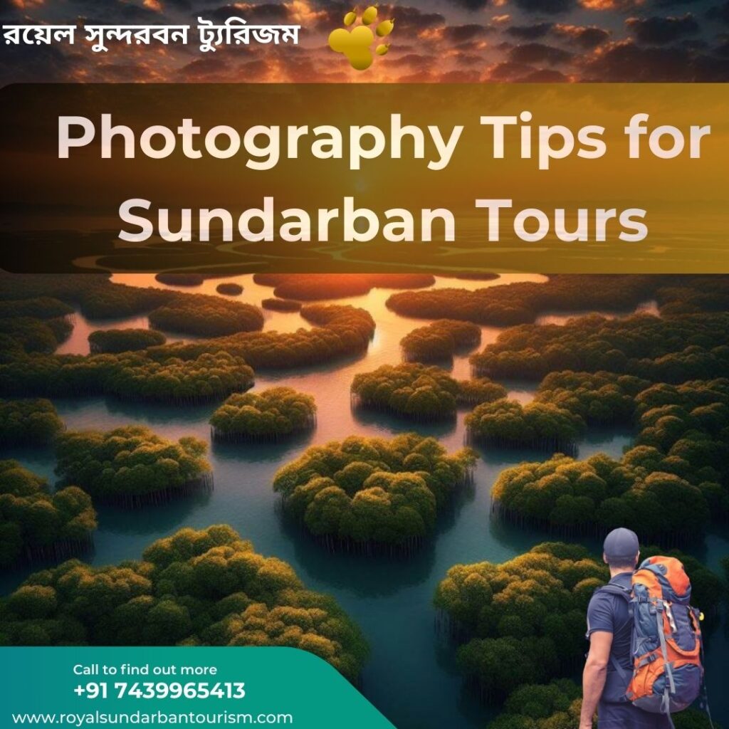 Photography Tips for Sundarban Tours: Capturing the Beauty of the Wild