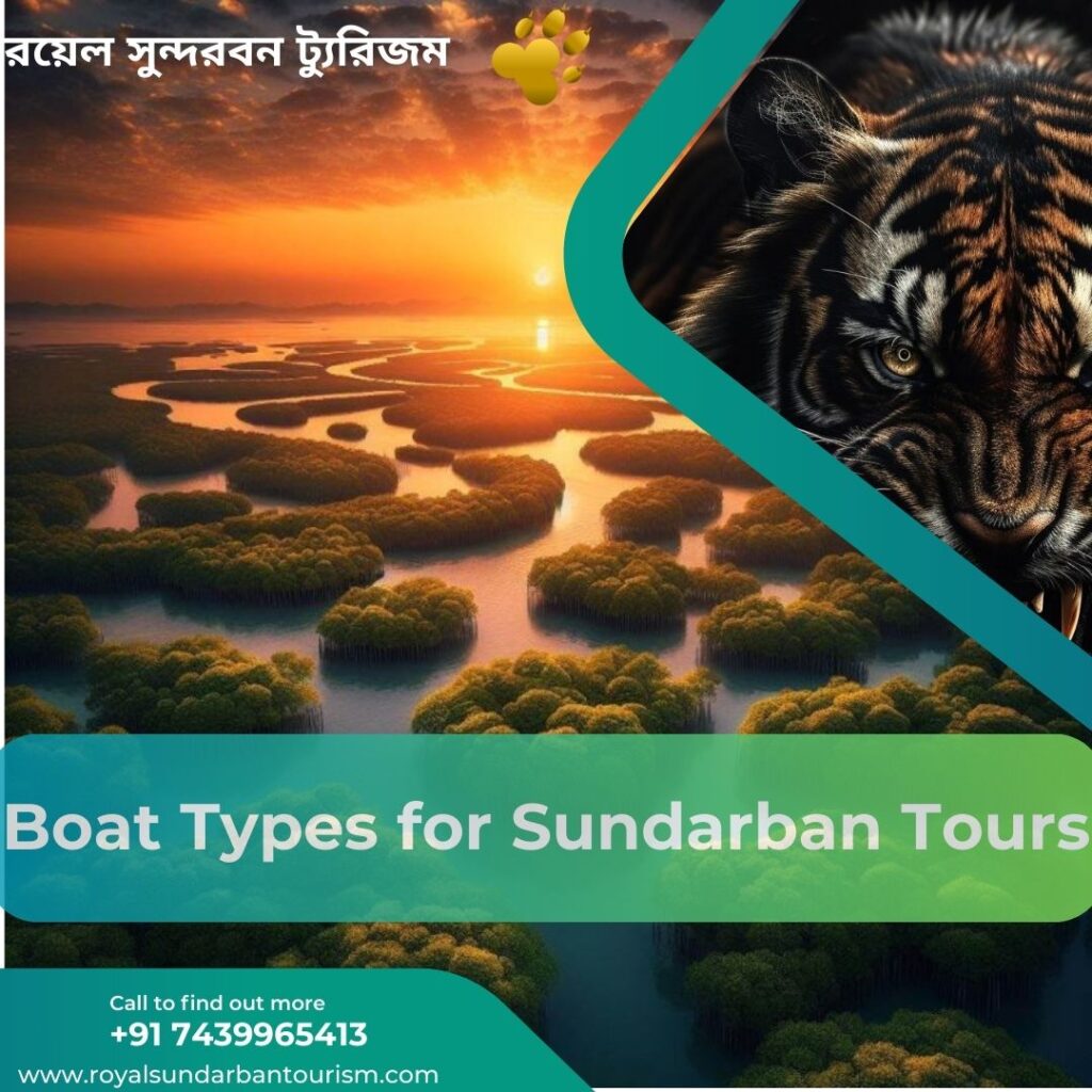 Boat Types for Sundarban Tours