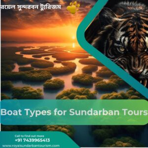 Boat Types for Sundarban Tours