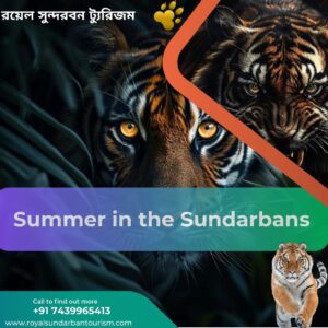 Summer in the Sundarbans